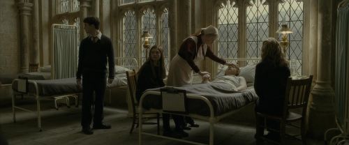 Click to view full size image
==============
EdP-Potterish8696.jpg EdP-Potterish8696.jpg