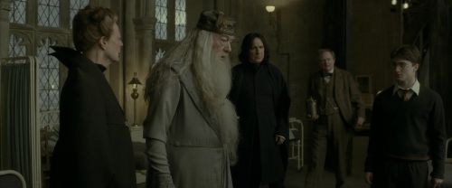 EdP-Potterish8703.jpg