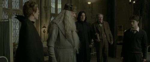 Click to view full size image
==============
EdP-Potterish8707.jpg EdP-Potterish8707.jpg