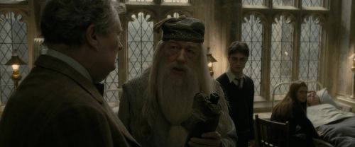 EdP-Potterish8749.jpg