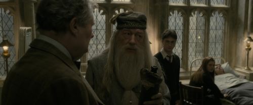 Click to view full size image
==============
EdP-Potterish8751.jpg EdP-Potterish8751.jpg