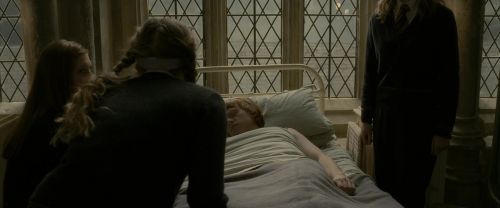 EdP-Potterish8841.jpg