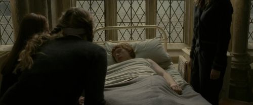 EdP-Potterish8846.jpg