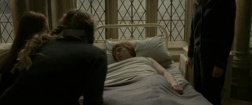 EdP-Potterish8848.jpg