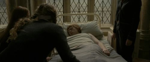 EdP-Potterish8850.jpg