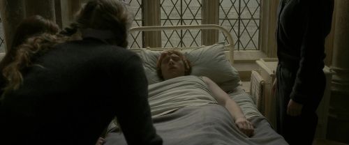 EdP-Potterish8861.jpg