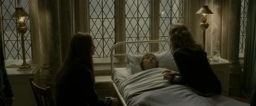 EdP-Potterish8880.jpg