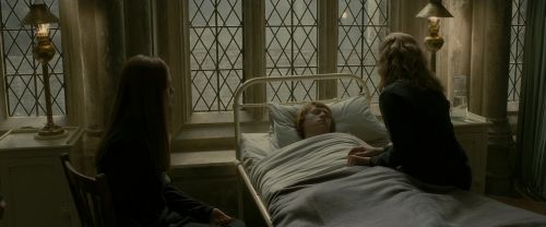 Click to view full size image
==============
EdP-Potterish8898.jpg EdP-Potterish8898.jpg