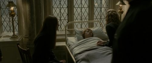 EdP-Potterish8900.jpg