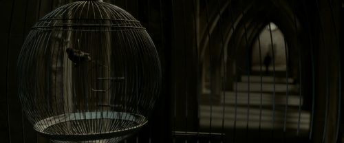 Click to view full size image
==============
EdP-Potterish8984.jpg EdP-Potterish8984.jpg