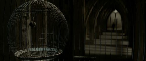 Click to view full size image
==============
EdP-Potterish8985.jpg EdP-Potterish8985.jpg