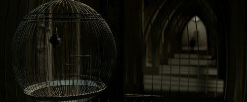 EdP-Potterish8986.jpg