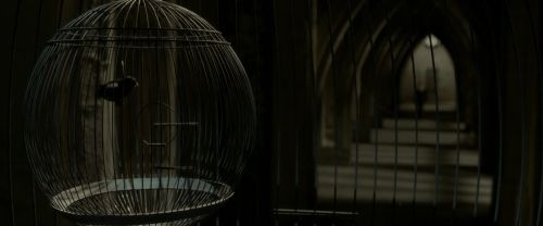 EdP-Potterish8987.jpg