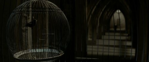 Click to view full size image
==============
EdP-Potterish8988.jpg EdP-Potterish8988.jpg
