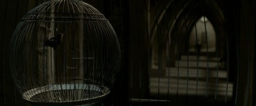 EdP-Potterish8989.jpg