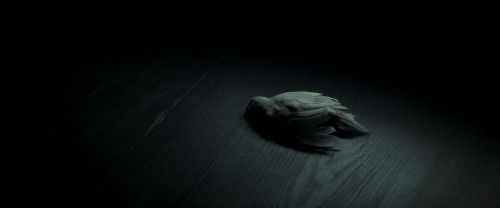 Click to view full size image
==============
EdP-Potterish9104.jpg EdP-Potterish9104.jpg