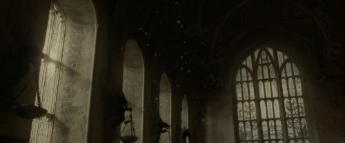 EdP-Potterish9136.jpg