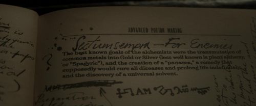 EdP-Potterish9256.jpg