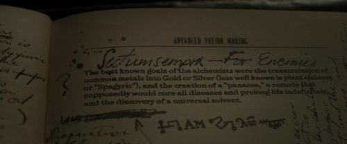 EdP-Potterish9257.jpg