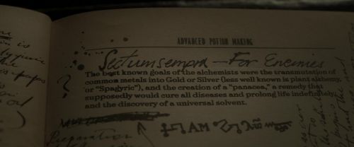 EdP-Potterish9258.jpg