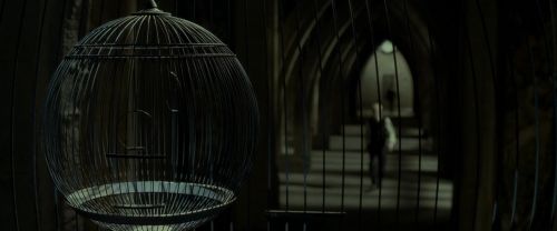 EdP-Potterish9353.jpg
