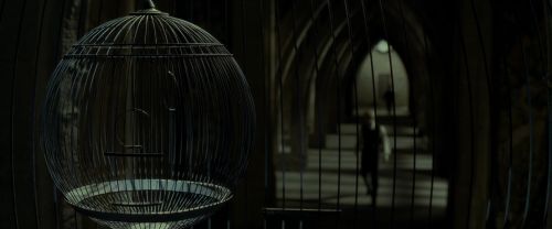 Click to view full size image
==============
EdP-Potterish9354.jpg EdP-Potterish9354.jpg