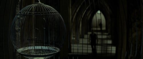 EdP-Potterish9355.jpg