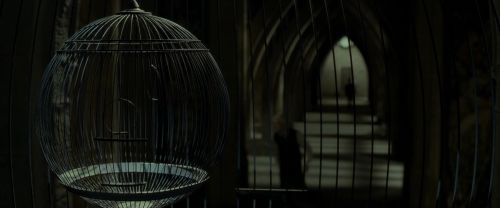 EdP-Potterish9356.jpg