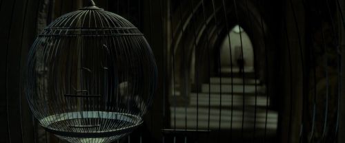 EdP-Potterish9357.jpg