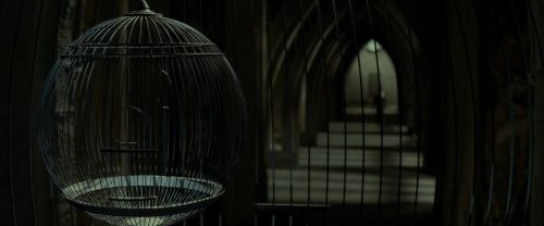 EdP-Potterish9359.jpg