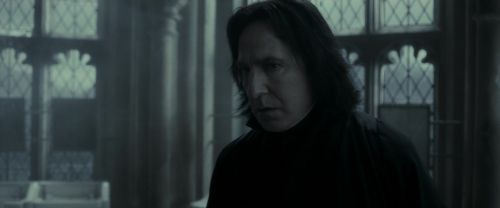 EdP-Potterish9528.jpg