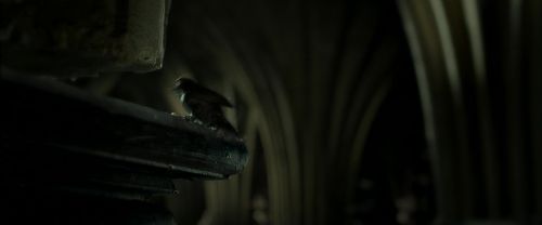 EdP-Potterish9703.jpg