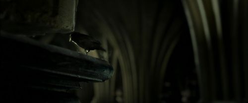 Click to view full size image
==============
EdP-Potterish9704.jpg EdP-Potterish9704.jpg