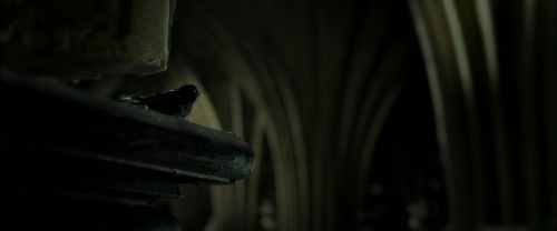 Click to view full size image
==============
EdP-Potterish9706.jpg EdP-Potterish9706.jpg
