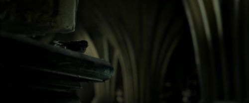 Click to view full size image
==============
EdP-Potterish9707.jpg EdP-Potterish9707.jpg