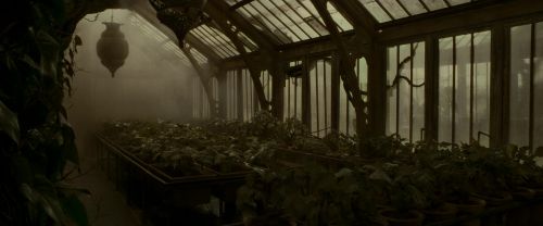 EdP-Potterish9972.jpg