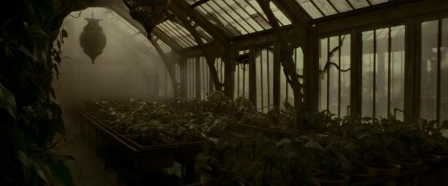 EdP-Potterish9974.jpg
