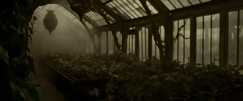 EdP-Potterish9975.jpg