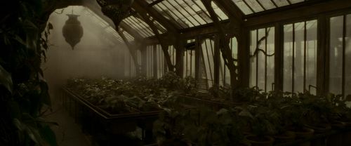 Click to view full size image
==============
EdP-Potterish9979.jpg EdP-Potterish9979.jpg
