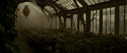 Click to view full size image
==============
EdP-Potterish9980.jpg EdP-Potterish9980.jpg