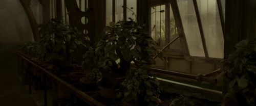 Click to view full size image
==============
EdP-Potterish9982.jpg EdP-Potterish9982.jpg