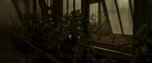 Click to view full size image
==============
EdP-Potterish9983.jpg EdP-Potterish9983.jpg