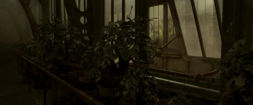 EdP-Potterish9985.jpg