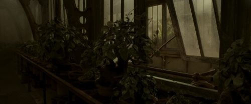 Click to view full size image
==============
EdP-Potterish9986.jpg EdP-Potterish9986.jpg