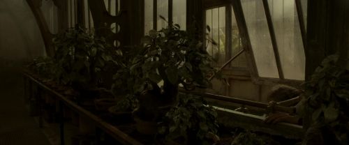Click to view full size image
==============
EdP-Potterish9987.jpg EdP-Potterish9987.jpg