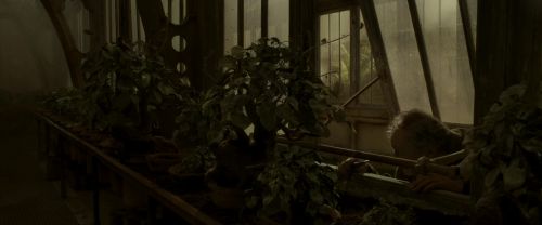 EdP-Potterish9989.jpg