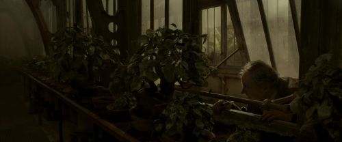 EdP-Potterish9990.jpg