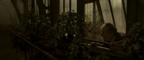 EdP-Potterish9991.jpg