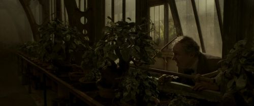EdP-Potterish9992.jpg