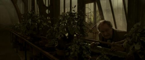 Click to view full size image
==============
EdP-Potterish9994.jpg EdP-Potterish9994.jpg
